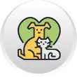 pet pet