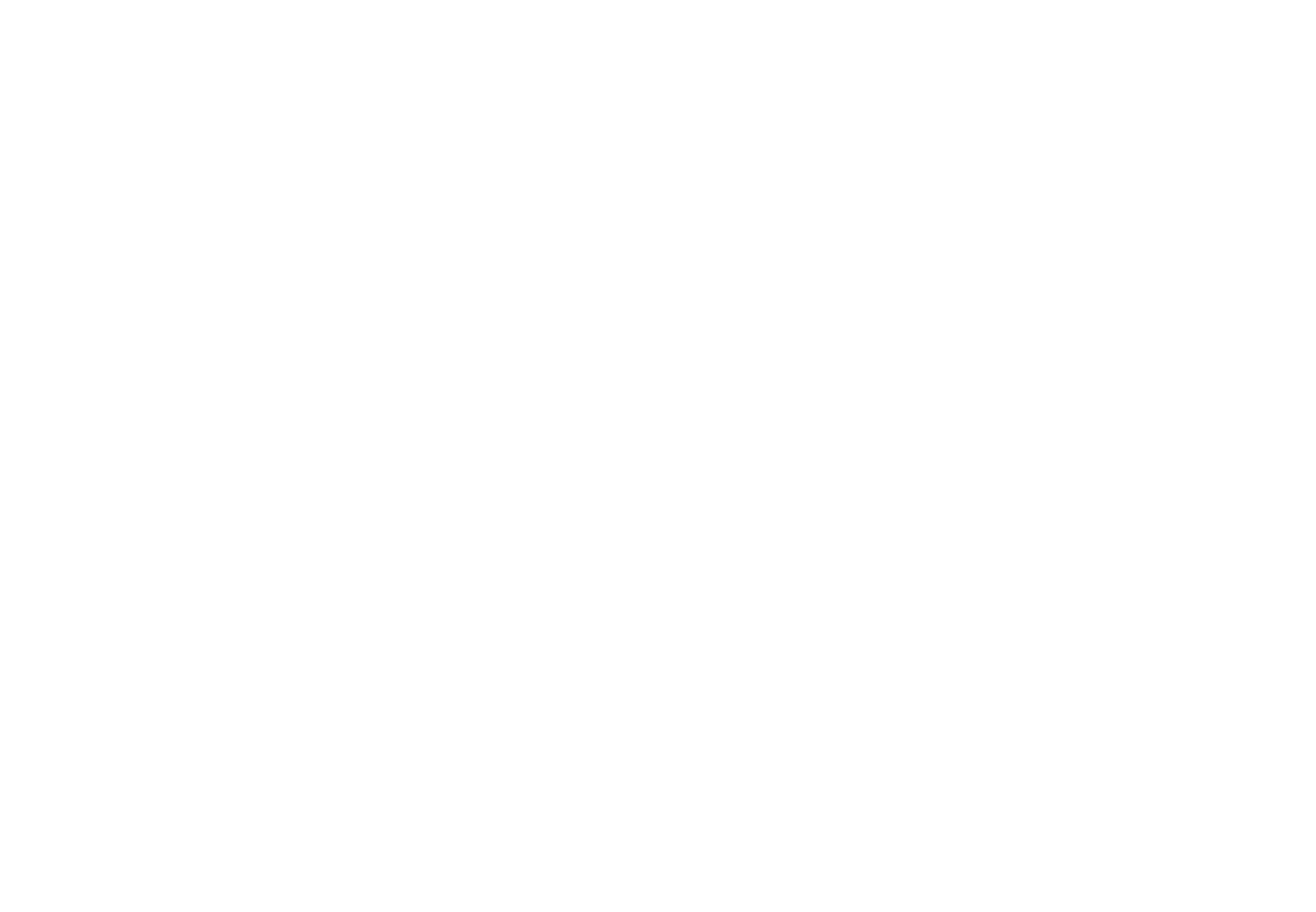 descriptive text